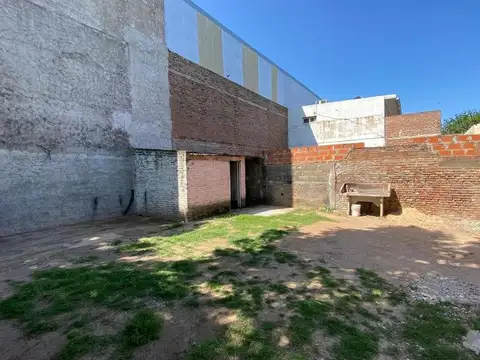 Silvestre Begnis  700