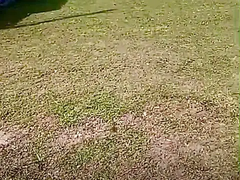 General Mitre Bis 800