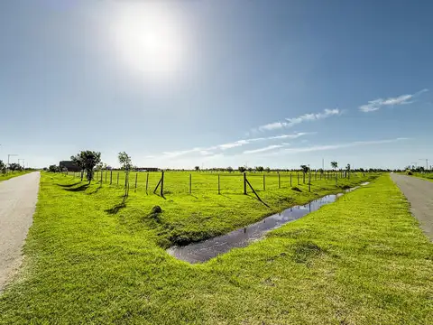 Terreno en Venta 43  mts Fondo