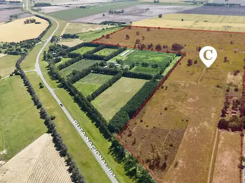 Campo en Venta en Exaltación de la Cruz. Uso mixto. Casa de 3 dorm. Ruta 193. Sup. de 75 hectáreas