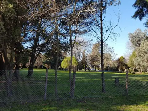 Venta Casa Chacra Lote de 1.9 Ha en Zelaya Pilar