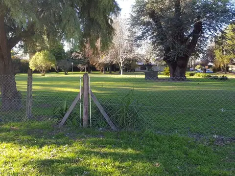 Venta Casa Chacra Lote de 1.9 Ha en Zelaya Pilar