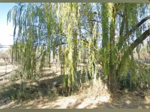 Terreno en Venta de 45000,0 m2