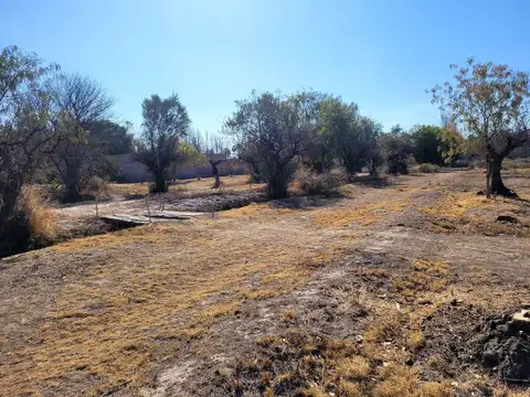 VENTA DE TERRENO (4.5 HECTAREAS) EN MAIPU