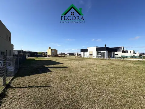 El ensueño - Lote 286