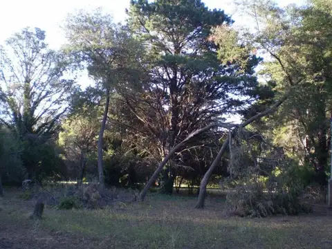 Terreno en Venta de 9424,0 m2