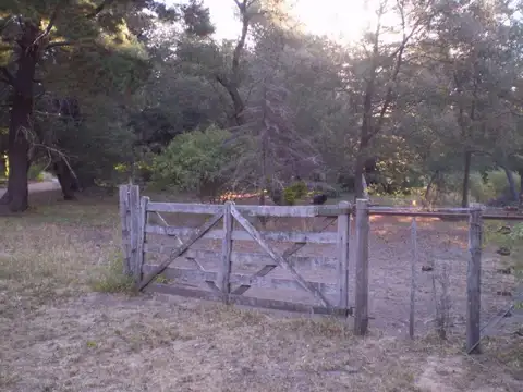 Curamalal e/ Gorrión y Piquito de Oro