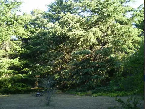 Terreno en Venta en Villa Ventana, USD 440.000