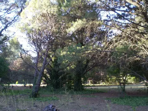 Terreno en Venta en Villa Ventana, USD 440.000