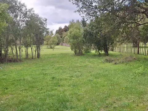 Camino a Cascada de Nahuelpan