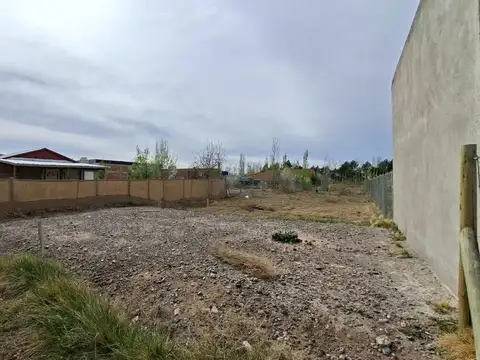 VENTA LOTE FERNANDEZ ORO