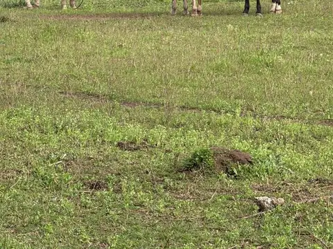 Campo en  Ramallo Paraiso