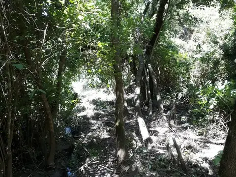 Terreno en Venta de 1247,0 m2