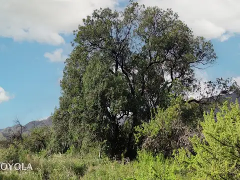 2 lotes en Barrio Calaguala con vistas impresionantes