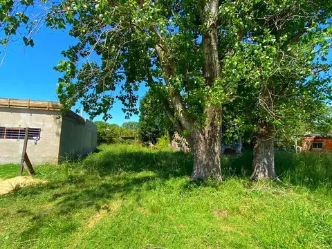 Terreno - Bosque Azul