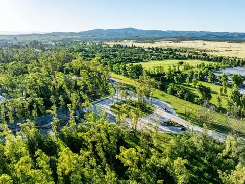 Terreno en Venta de 250,0 m2