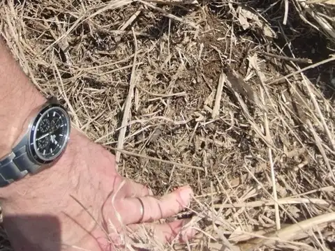 SE VENDE CAMPO AGRICOLA 23,3HAS PAMPAYASTA NORTE