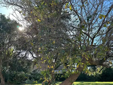 Terreno en Venta en Don Torcuato, USD 160.000