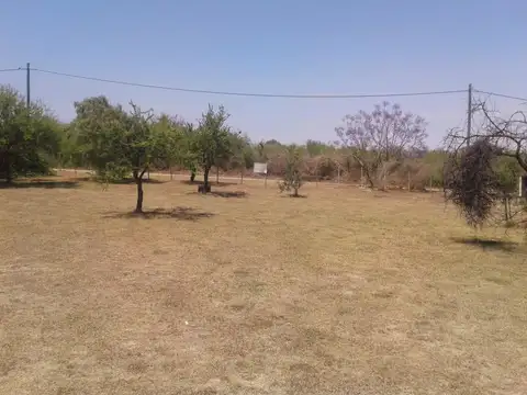 El Arrope y Pascual Morales