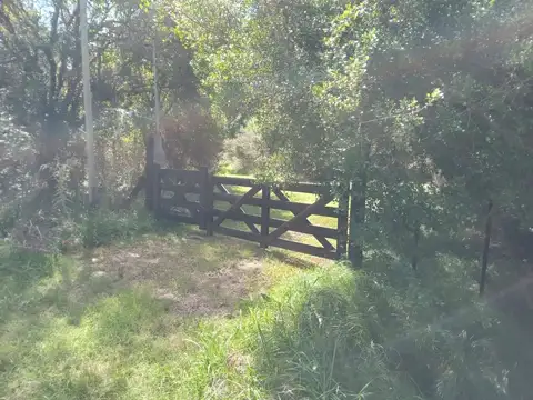 Charruas y el Cuando