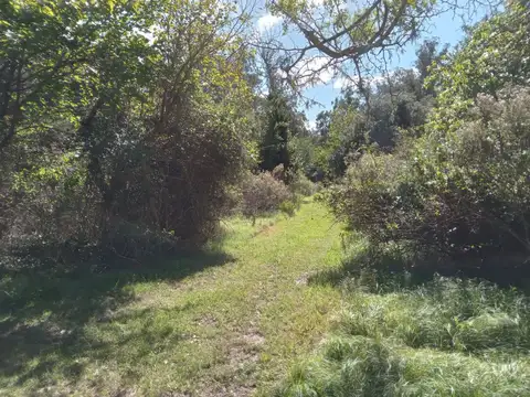 VENTA LOTE 1,5 Ha, PUNTA INDIO.