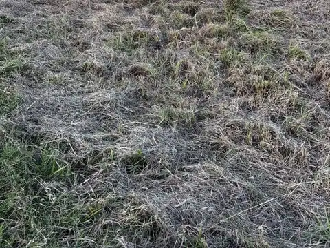 Ruta 12 acceso norte