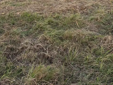 Terreno en Venta, FOT 5