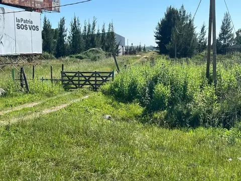 Galpon en Venta en La Plata, USD 225.000