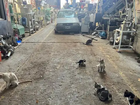 Galpon en Venta 17,32  mts Frente