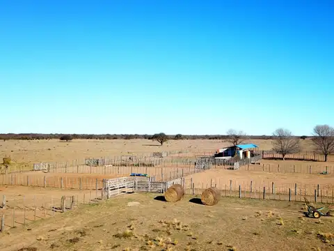 5.500 Has. Campo Ganadero en Unión, San Luis