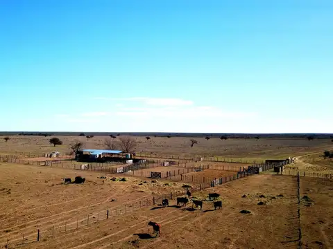 Campo en Venta de 5.500  ha