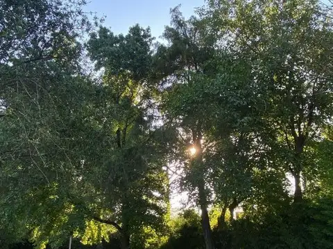 Terreno en Venta en Bella Vista, USD 118.000