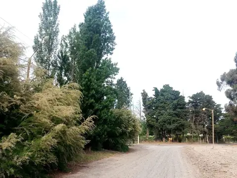 Terreno en Venta de 720,0 m2