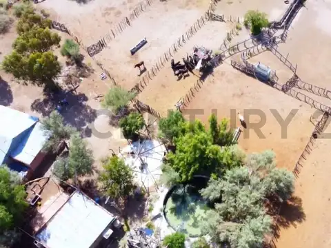 Venta campo en San Rafael