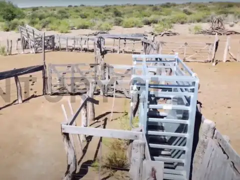 Venta campo en San Rafael