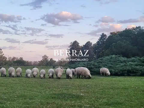 Fracción de Campo Agrícola en Venta 37 ha Lima, Zarate