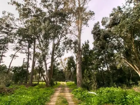 Terreno en Venta de 1059,0 m2