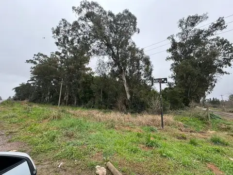 Terreno en Venta en Villa Parque Sicardi, USD 35.000