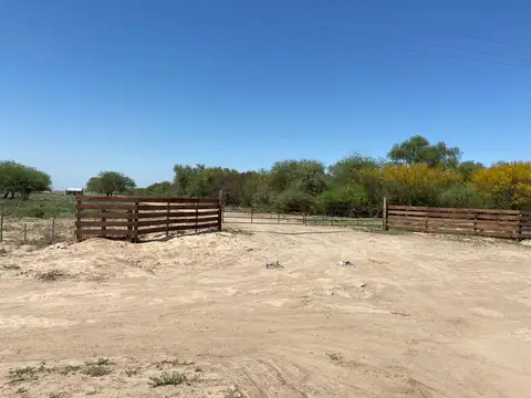 Campo en El Colorado