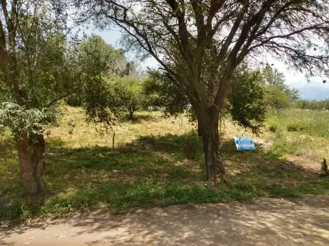 Terreno en Venta 20  mts Frente