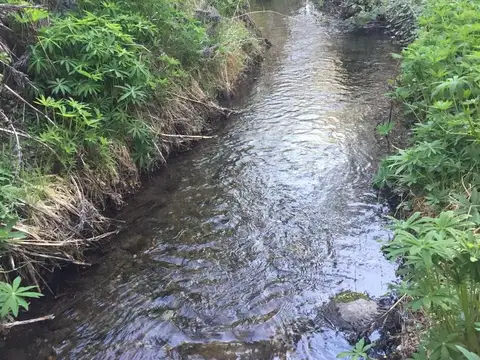 los Repollos. El Bolson, Rio Negro