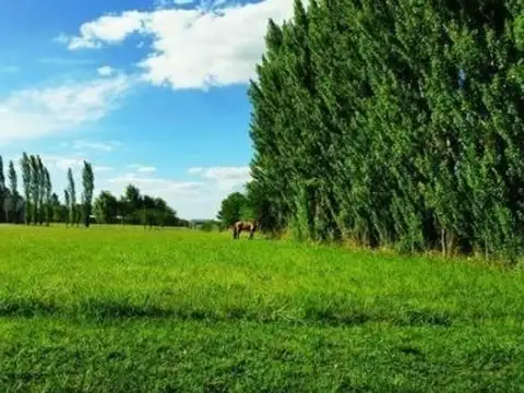 Rbs. Hermoso Lote Interno Estilo Chacras La Ranita