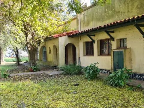 Campo de 40ha en Carlos Keen con hermosa arboleda