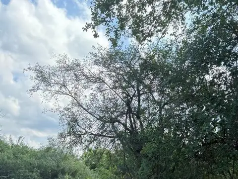 Terreno en Venta de 300,0 m2