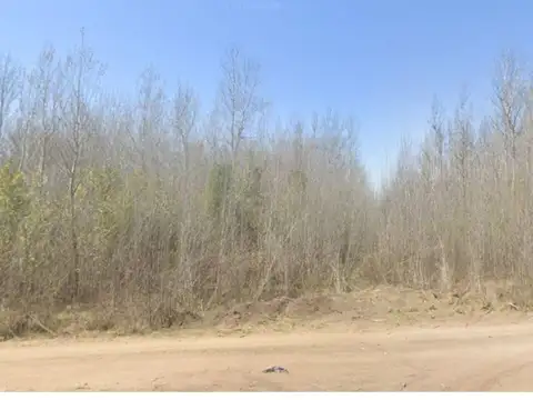 Terreno en Venta de 300,0 m2