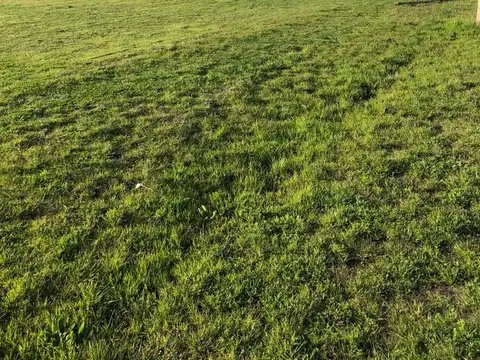 Terreno en Alquiler en La Plata, $ 750.000