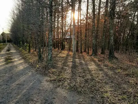 Autopista Rosario - Cordoba  y a 012