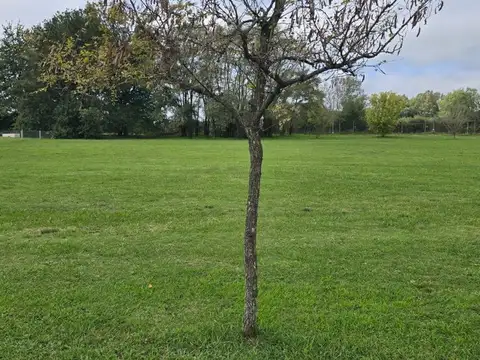 Terreno en Venta en General Rodriguez, USD 49.900