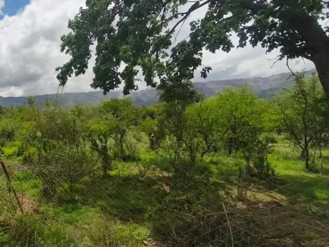 Terreno en Venta en Cerro De Oro, USD 45.000