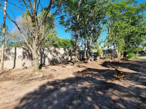 Terreno en Venta de 10320,0 m2